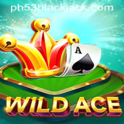 Exploring the Thrills of WildAce: A New Gaming Experience